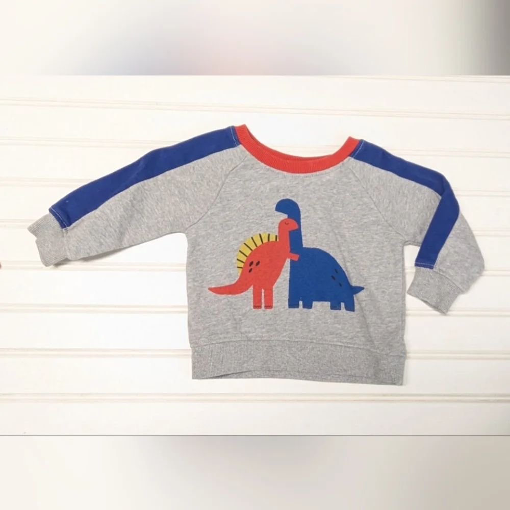 Hanna Andersson Gray Sweatshirt with Dinosaur Print - Picture 2 of 6